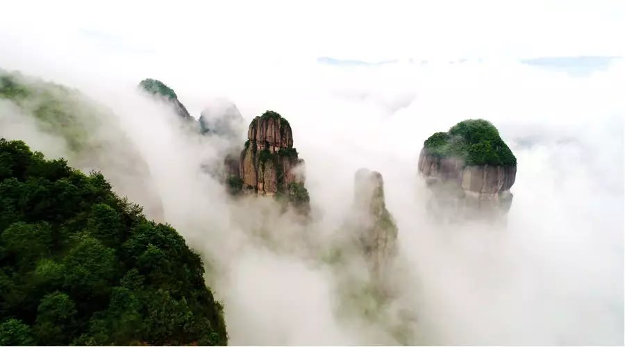 【4天五一小長假攻略】-西尼機(jī)電預(yù)祝各位“五一勞動(dòng)節(jié)”快樂！